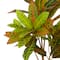 2.5ft. Potted Bohemian Banyan Tree Artificial Foliage